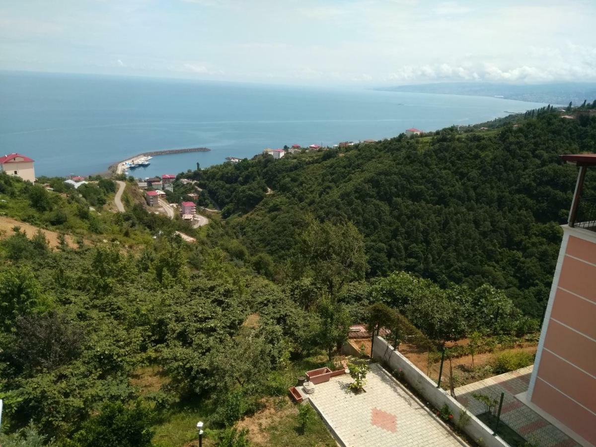 Trabzon Palace Villa *